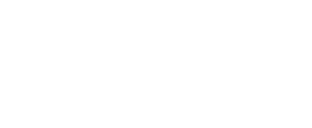 White logo for Pebble Fina