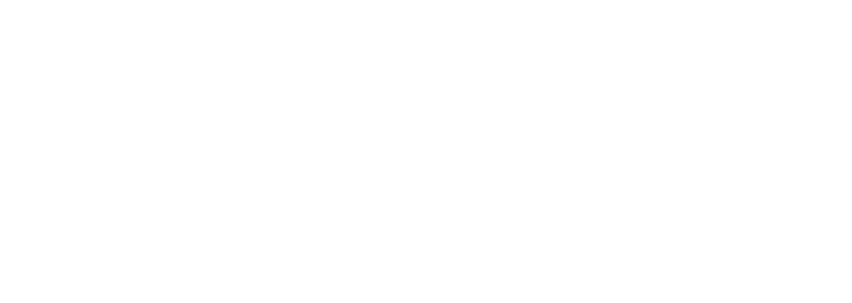 Pebble Technology International white logo