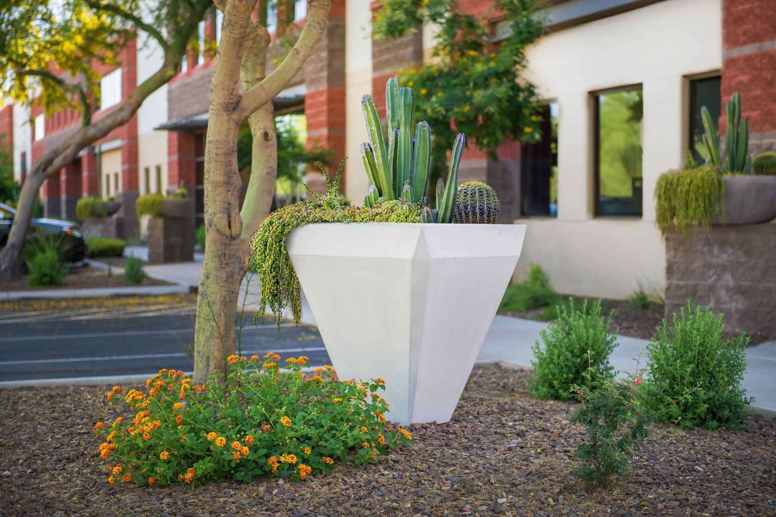 photo of PebbleTec Fire and Water Patio Planter Bowls in Arizona landscape setting